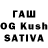 Галлюциногенные грибы GOLDEN TEACHER Gan Hristiandon