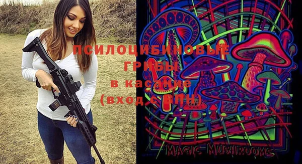 мескалин Вяземский