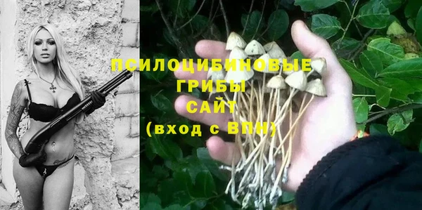 мескалин Вяземский