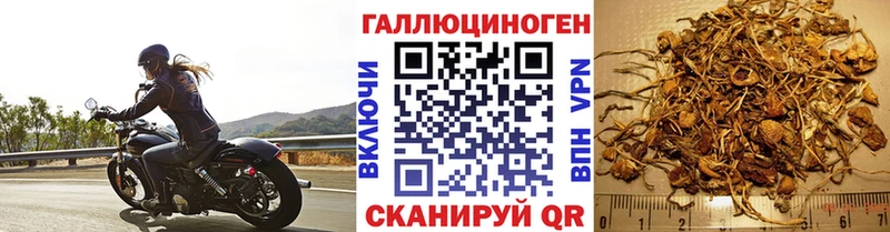 Галлюциногенные грибы ЛСД  цены   ссылка на мегу ТОР  Ялта 